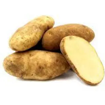 potato10-2405970-61221.webp