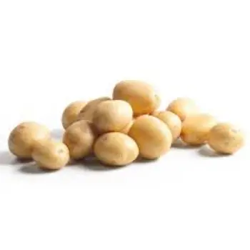 potato10-9031521-83918.webp