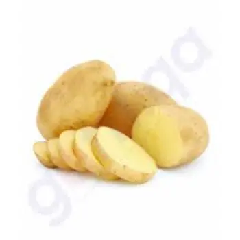 potato11-7519261-51588.webp