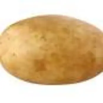 potato12-1679601-8456.webp