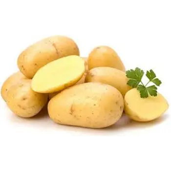 potato13-4172597-39592.webp