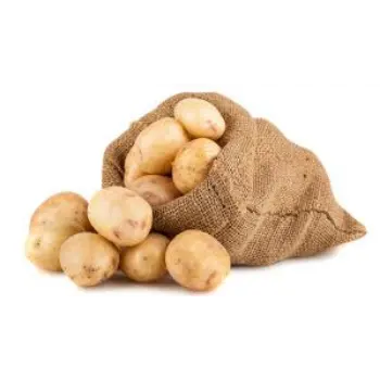 potato14-9618437-62503.webp