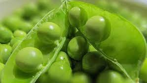 Frozen Green Peas ps4-6343666-74800.jpg