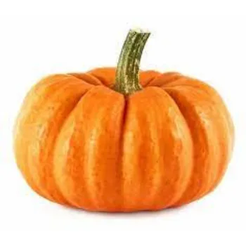 pumpkin01-6336927-7142.webp