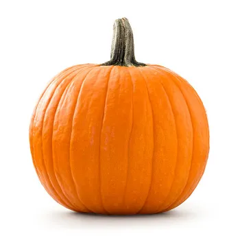 pumpkin01-9747120-74849.webp
