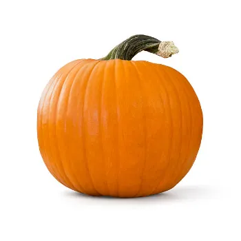 pumpkin02-2410574-30699.webp