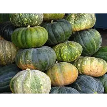 pumpkin03-9456323-80953.webp