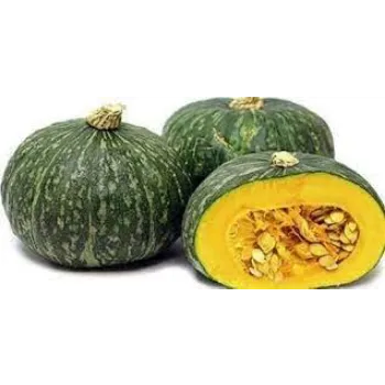 pumpkin04-3081259-96106.webp