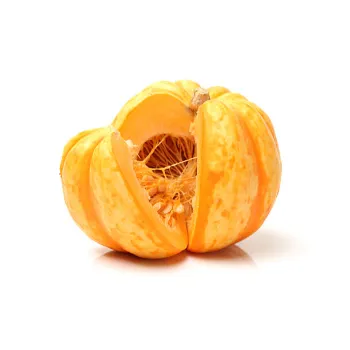 pumpkin04-5499274-37933.webp