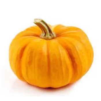 pumpkin05-5034635-16561.webp
