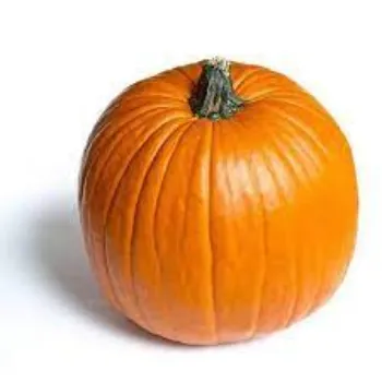 pumpkin05-7555009-48885.webp