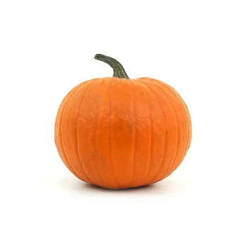 pumpkin08-4740677-41381.webp