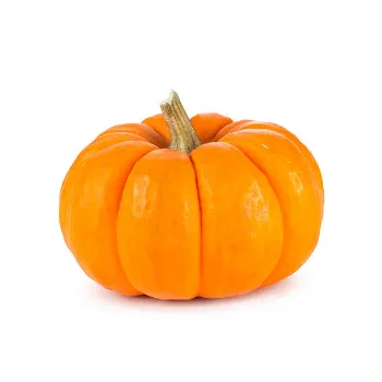 pumpkin09-7403134-13541.webp