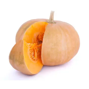 pumpkin09-8530277-99104.webp