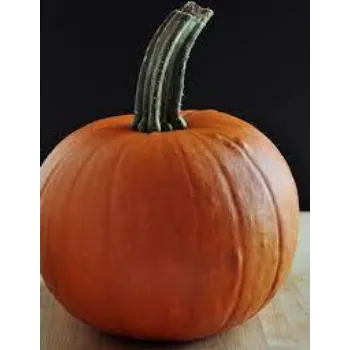 pumpkin09-853133-93426.webp