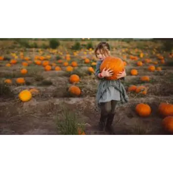 pumpkin1-1475346-26880.webp