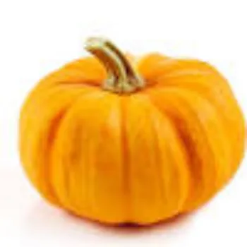 pumpkin1-316239-65712.webp