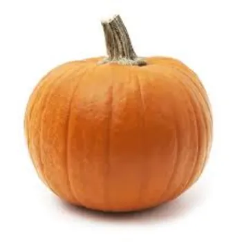pumpkin1-4134202-91209.webp