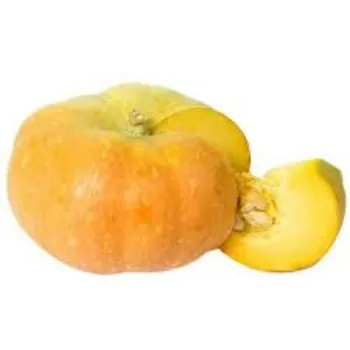pumpkin10-4216249-86554.webp