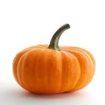 pumpkin10-4379407-52409.webp