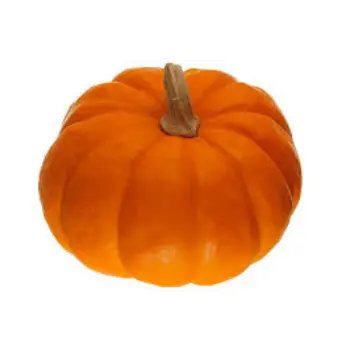 pumpkin10-5919527-8853.webp