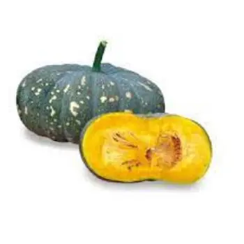 pumpkin10-7287179-29864.webp