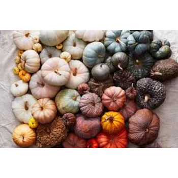 pumpkin11-1413090-10303.webp