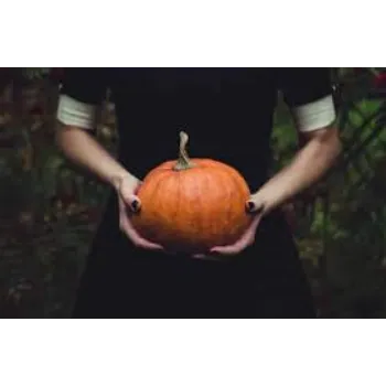 pumpkin11-7632814-68982.webp