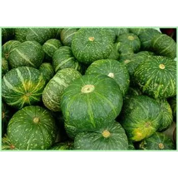 pumpkin12-2116021-42099.webp