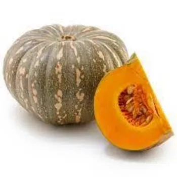 pumpkin12-3322998-73605.webp