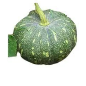 pumpkin13-4278452-73081.webp