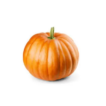 pumpkin13-8757640-67148.webp