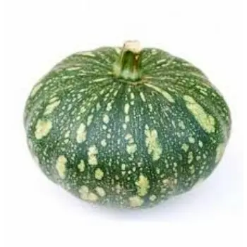pumpkin14-8025967-2741.webp