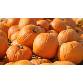 pumpkin15-1779937-4439.webp