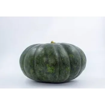 pumpkin15-8988005-96094.webp