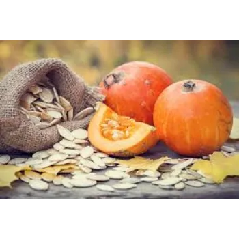 pumpkin17-1231414-4699.webp