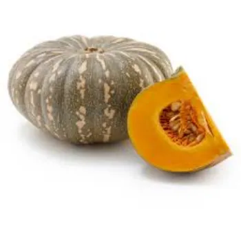 pumpkin19-269159-28509.webp