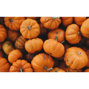 pumpkin19-8687582-34300.webp
