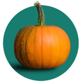 pumpkin2-1446564-62833.webp