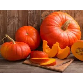 pumpkin2-1523808-45980.webp