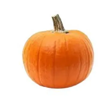pumpkin20-405365-91357.webp