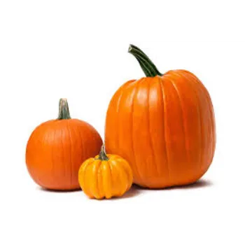 pumpkin3-1098717-5151.webp