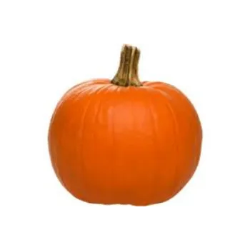 pumpkin3-6877805-22270.webp