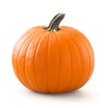 pumpkin3-7284192-25113.webp