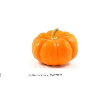 pumpkin4-3004805-34596.webp
