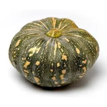 pumpkin5-510318-8105.webp