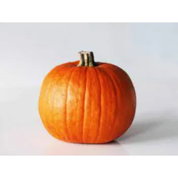 pumpkin5-8051837-7380.webp