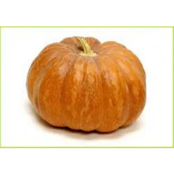 pumpkin6-1187297-44297.webp