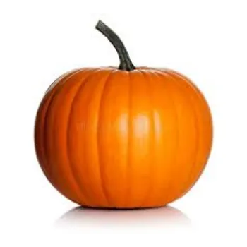 pumpkin6-255563-34470.webp