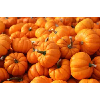 pumpkin7-4541455-18182.webp